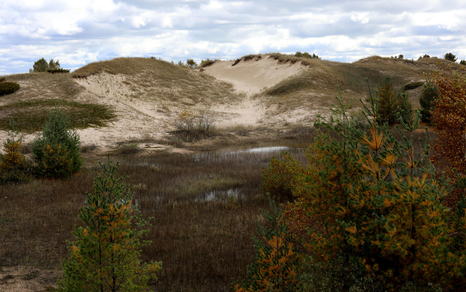 Kohler_Andrae_dunes02.jpg